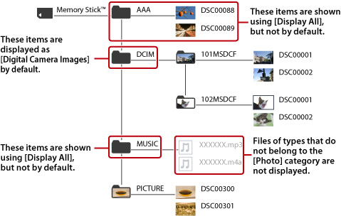 All folders and image files that belong to the photo category are displayed.