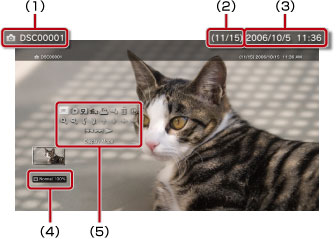 Labeled 1 through 5 starting from the top left.