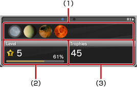Information on a profile screen. Labeled 1 through 3 starting from the top left.